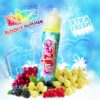 FRUIZEE 20/70ml - Bloody Summer