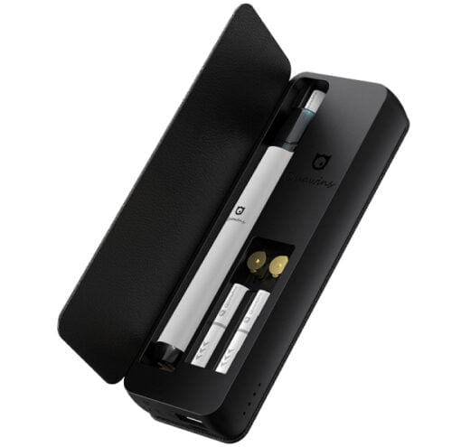 QUAWINS Vstick Pro Carry and Charging Case